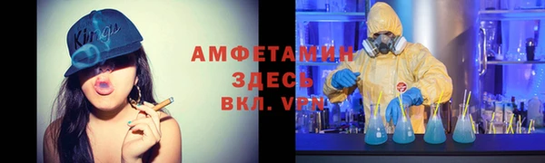 хмурый Аркадак