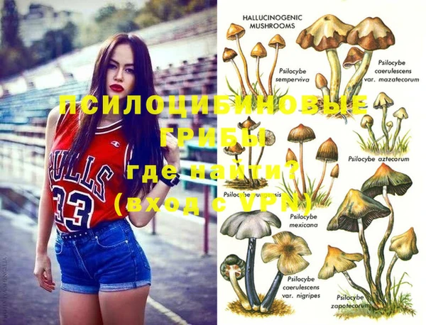 хмурый Белоозёрский