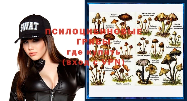 гидра Баксан