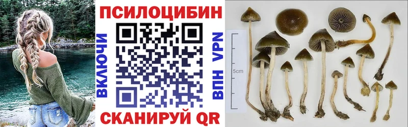 Галлюциногенные грибы ЛСД  где купить наркоту  мориарти состав  Кемь 